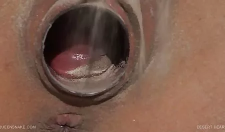 朱莉娅办公室荡妇与毛茸茸的猫